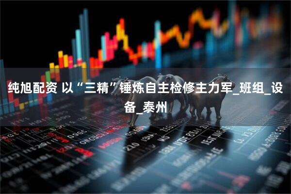 纯旭配资 以“三精”锤炼自主检修主力军_班组_设备_泰州