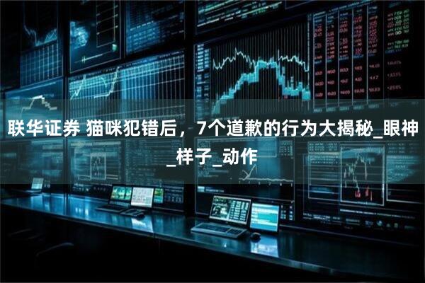 联华证券 猫咪犯错后，7个道歉的行为大揭秘_眼神_样子_动作