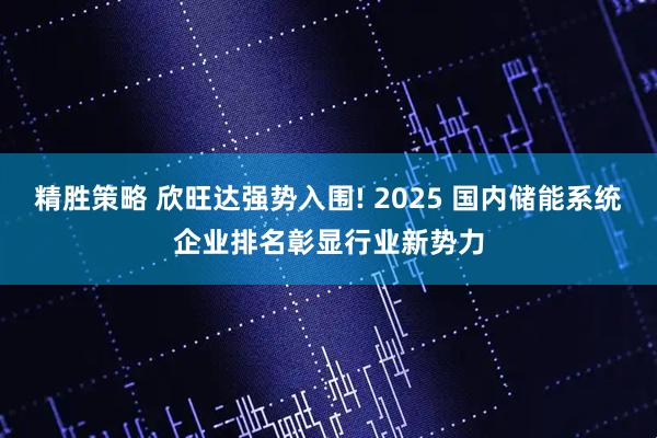 精胜策略 欣旺达强势入围! 2025 国内储能系统企业排名彰显行业新势力