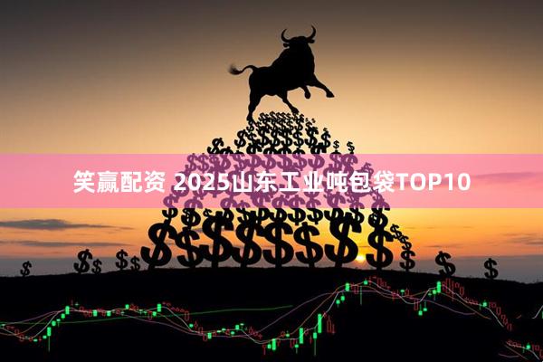 笑赢配资 2025山东工业吨包袋TOP10